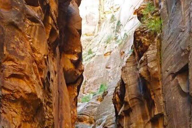 Exclusive Zion National Park Tours - Frequently Asked Questions