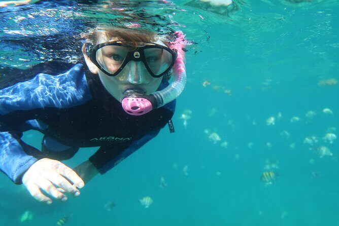 Exclusively Private Snorkel Adventures Training & Tours Ultimate - Who Will Love This Tour?