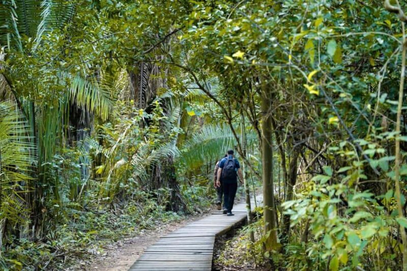Excursion 2 days/1 nights in the jungle: Tambopata - Exploring Tambopata: A Two-Day Jungle Adventure from Puerto Maldonado