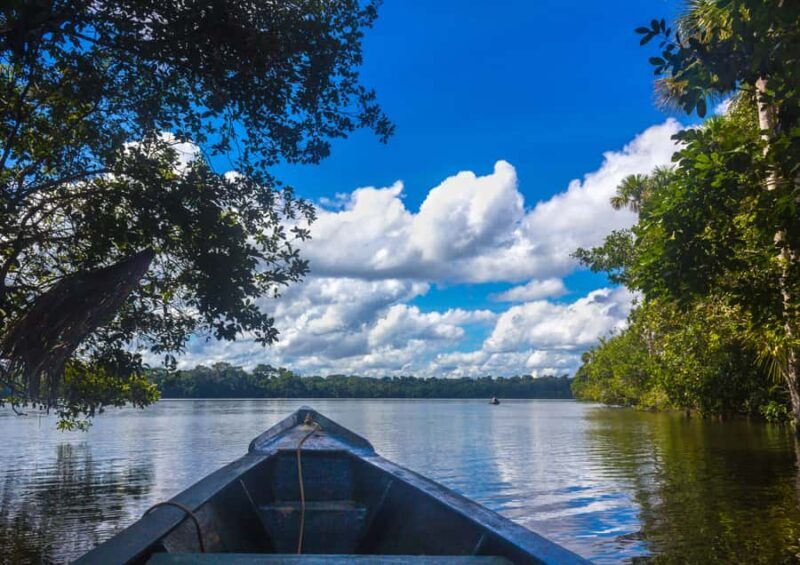 Excursion 3 days/2 nights in the jungle - Key Points