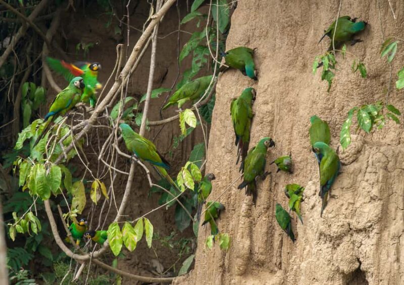 Excursion 3 days/2 nights in the jungle - The Sum Up