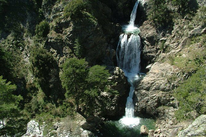 Excursion and hiking in Calabria, Italy - Exploring Calabria’s Natural Beauty with a Guided Hike in Aspromonte National Park