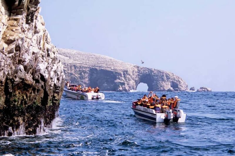 Excursion: Ballestas Islands and Paracas National Reserve - Practical Tips for Travelers