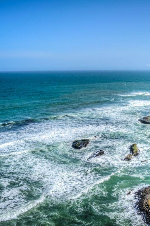 Excursion: Ballestas Islands and Paracas National Reserve - Who Would Love This Tour?