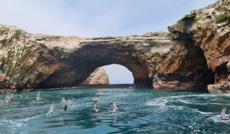 Excursion: Ballestas Islands and Paracas National Reserve - Final Thoughts