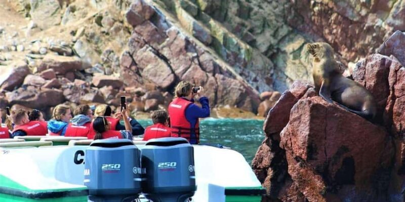 Excursion: Ballestas Islands and Paracas National Reserve - Experience the Natural Wonders of the Ballestas Islands and Paracas National Reserve