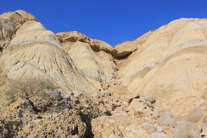Excursion by car with official guide in Bardenas Reales - What Youll Experience on the Itinerary