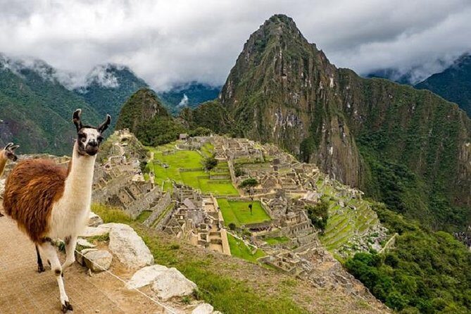 Excursion: Full Day Tour of Machu Picchu from Cusco - Authentic Feedback from Travelers