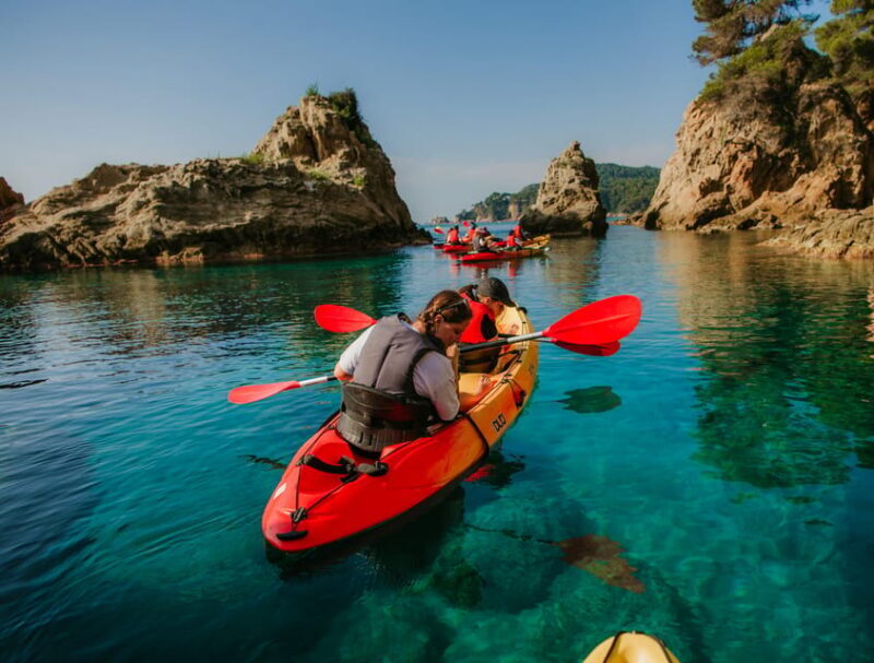 EXCURSION GUIADA EN KAYAK - INICIACIÓN 1h 15m - Who Should Consider This Tour?