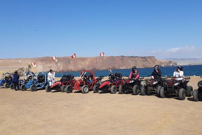 Excursion in Minibuggys in Paracas National Reserve - Key Points
