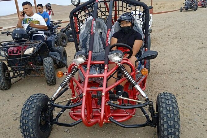 Excursion in Minibuggys in Paracas National Reserve - Who Is This Tour Best For?