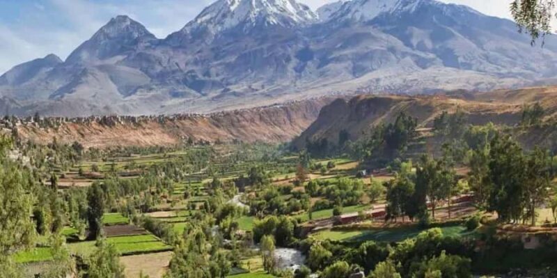 Excursion Laguna Salinas| Bike tour through Pichu Pichu - The Wildlife and Cultural Touches