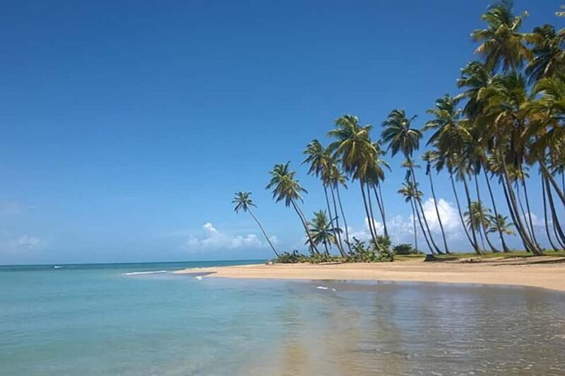 Excursion Round Mountain and Virgin Beach from Punta Cana - FAQ