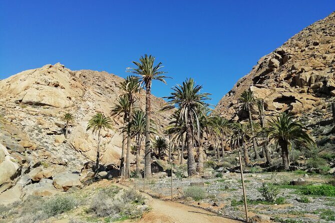 Excursion to Ajuy Caves with a secret Las Penitas canyon Hike - Who Will Love This Tour?