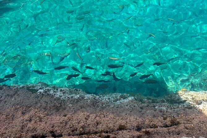 Excursion to Cala Salada, Punta Galera and Cala Saladeta paddle surf - Frequently Asked Questions