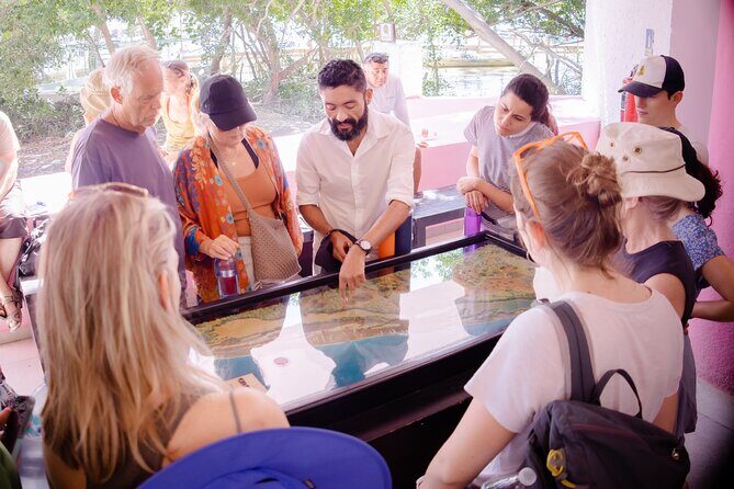 Excursion to Celestun Biosphere and Beach Day from Merida - In-depth look at the experience value