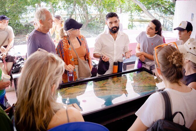 Excursion to Celestun Biosphere and Beach Day from Merida - Who is this tour best suited for?