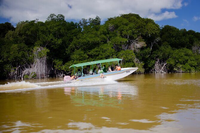 Excursion to Celestun Biosphere and Beach Day from Merida - The Sum Up: Is it worth it?