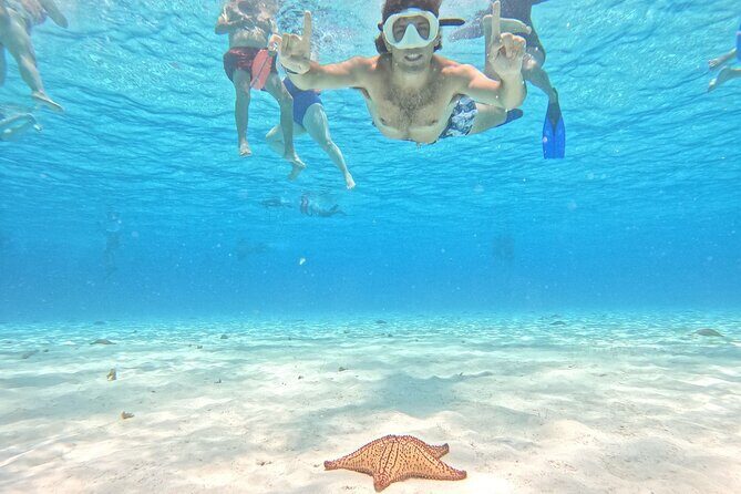 Excursion to Cozumel from Cancun - A detailed look at the Excursion to Cozumel from Cancun