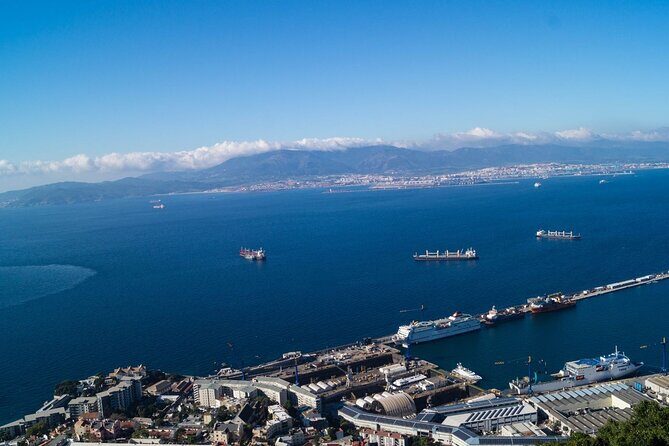 Excursion to Gibraltar with Dolphin Watching from Malaga - Key Points