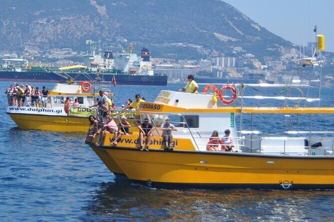 Excursion to Gibraltar with Dolphin Watching from Malaga - What Travelers Are Saying: Authentic Perspectives