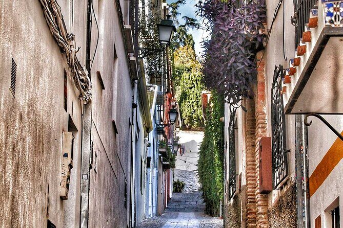 Excursion to Granada from Malaga - The Authentic Experience: What Travelers Say