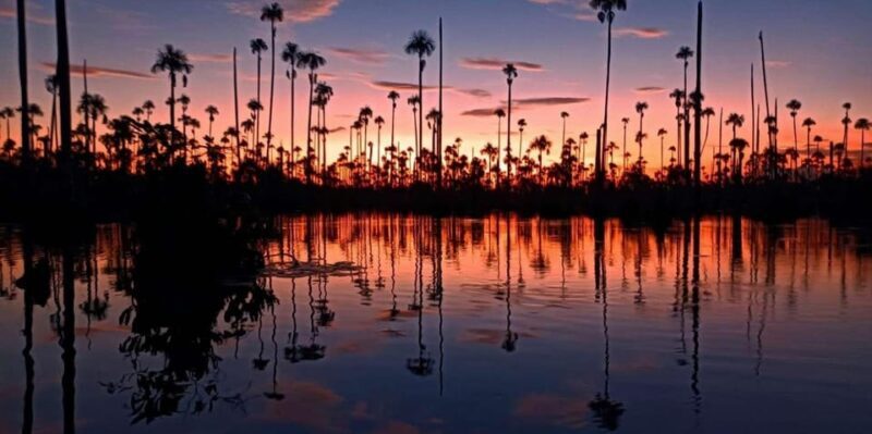 Excursion to Lake Yacumama + Sunset | Piranha fishing - Who Should Consider This Tour?