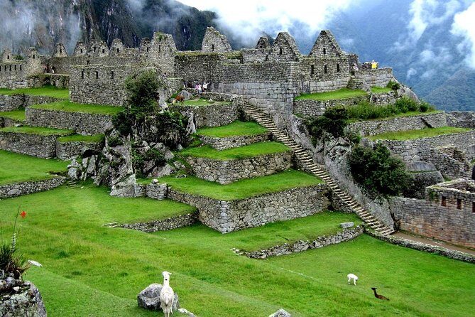 Excursion to Machu Picchu from Cusco & lunch || Private Service|| - The Sum Up