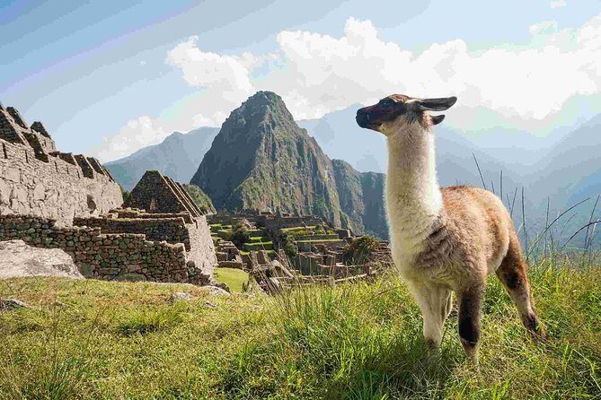 Excursion to MachuPicchu from Cusco with lunch | Private Service| - FAQ