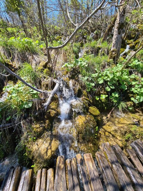 Excursion to Plitvice National Park - FAQs