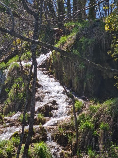 Excursion to Plitvice National Park - Final Thoughts