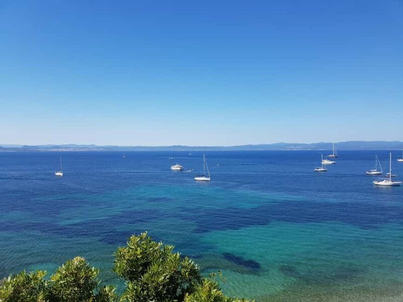 Excursion to Porquerolles Island from Bandol - Key Points