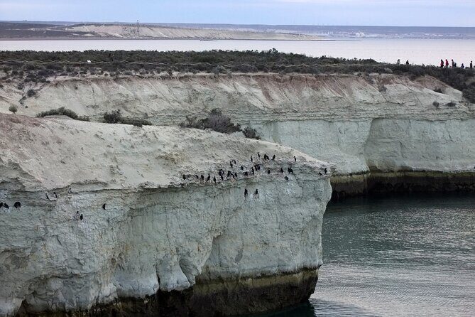 Excursion to Punta Loma and Puerto Madryn for Cruisers - Transportation and Group Size