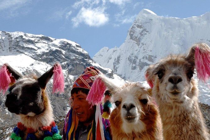 Excursion to Rainbow Mountain Palcoyo from Cusco. - In-Depth Review of Palcoyo Rainbow Mountain from Cusco