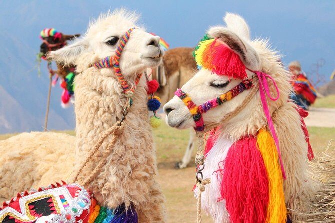 Excursión to Rainbow Mountain with Coca Ceremony | Prívate Tour | - A Deep Dive into the Rainbow Mountain Private Tour