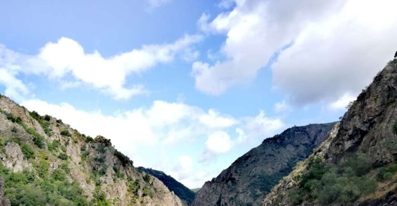 Excursion to Ribeira Sacra and Ourense - Who Is This Tour Perfect For?