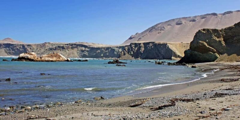 Excursion to San Fernando bay and Sandboarding in Nazca - A Closer Look at the Tour Experience