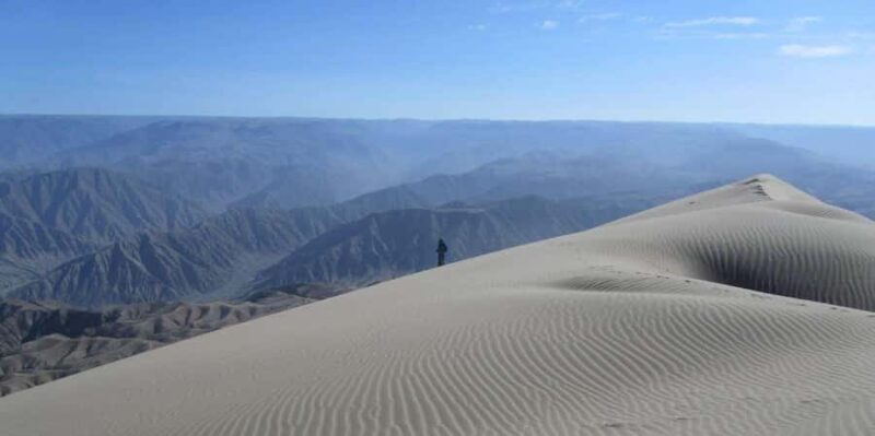 Excursion to San Fernando bay and Sandboarding in Nazca - Why This Tour Offers Great Value
