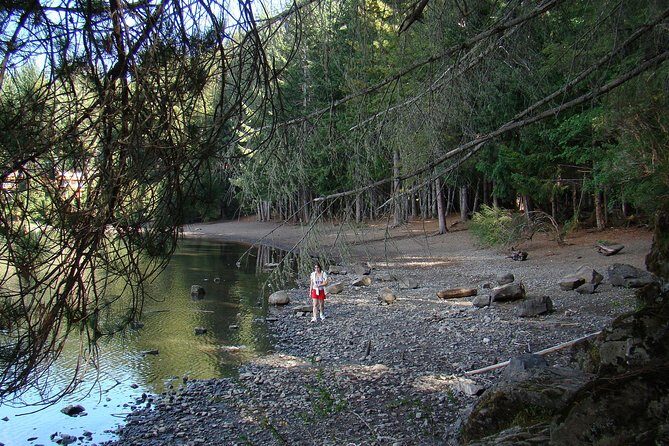 Excursion to San Martin de los Andes via 7-lake Circuit, from Bariloche - Key Points