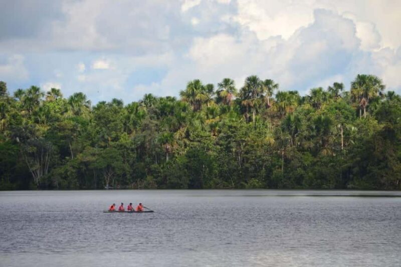 Excursion to the Amazon River - An In-Depth Look at the Amazon River Tour