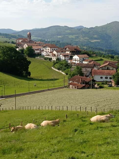 Excursion to the Baztan Valley, Zugarramurdi, and Señorío de Bertiz - Key Points