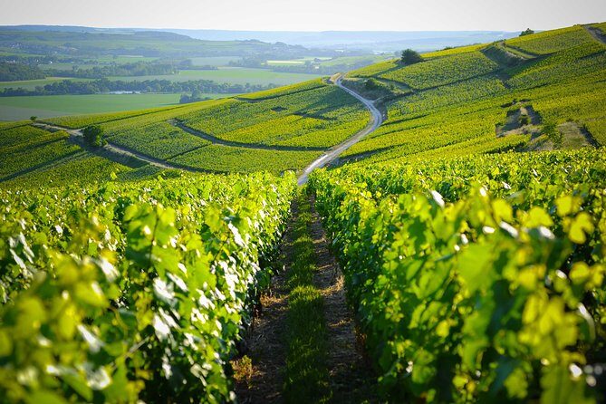 Excursion to the Champagne region and Wine Tasting - Final Thoughts: Who Should Consider This Tour?