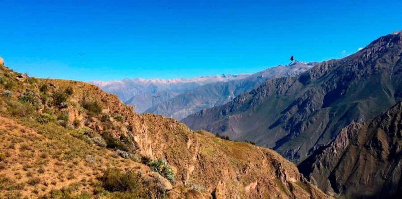 Excursion to the Colca Canyon 2 days 1 night in Chivay - Why This Tour Works for You