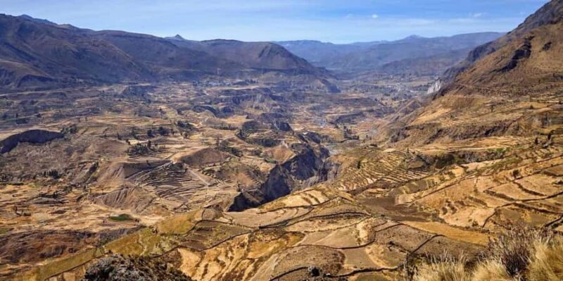 Excursion to the Colca Canyon ending in Puno - Considerations for Travelers