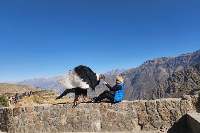 Excursion to the Colca Canyon in one day - Final Thoughts