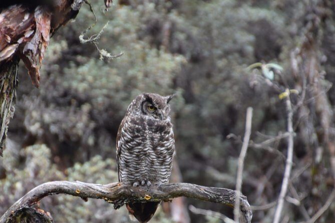 Excursion to the National Park "El Cajas" - Exploring the Highlights of El Cajas National Park