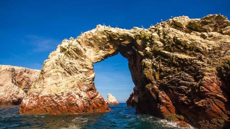 Excursion to the Paracas National Reserve - A Detailed Look at the Paracas National Reserve Tour