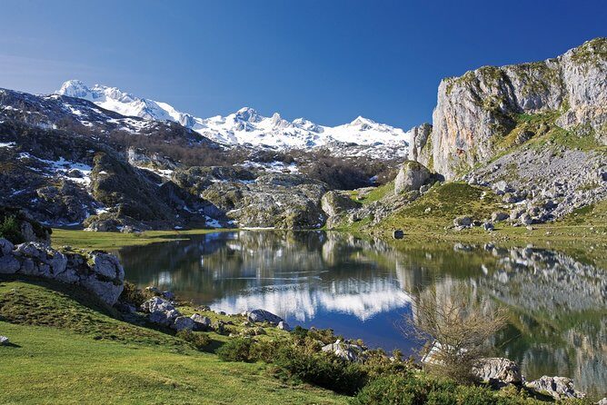 Excursion to the Picos de Europa Lakes of Covadonga and Sanctuary - A Deep Dive into the Experience: Why This Tour Stands Out