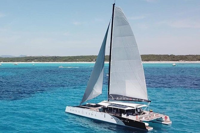 Excursion to the Rosario Islands with Lunch and Snorkeling - Key Points