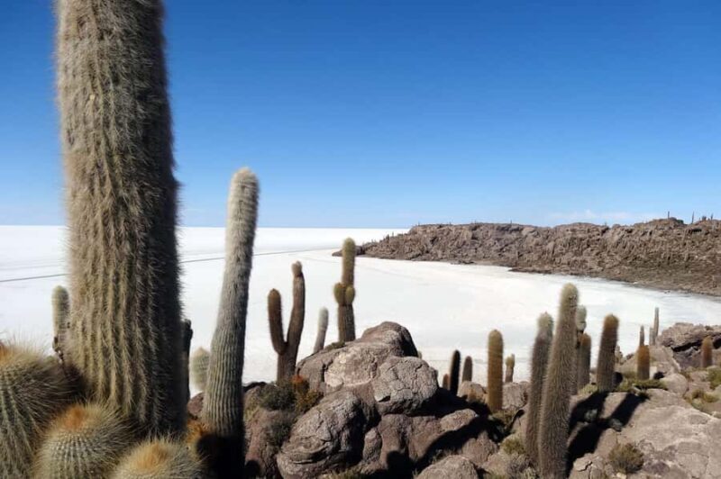 Excursion to the Salar de Uyuni 1 Day + Lunch - Key Points